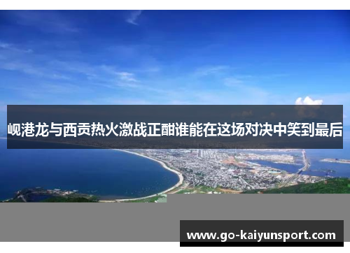 岘港龙与西贡热火激战正酣谁能在这场对决中笑到最后
